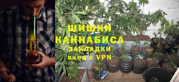 гашик Аркадак