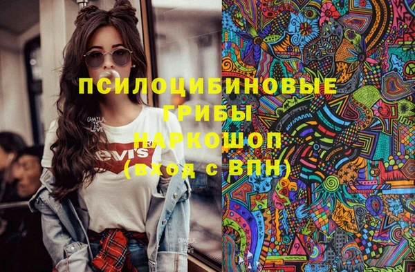 гашик Аркадак