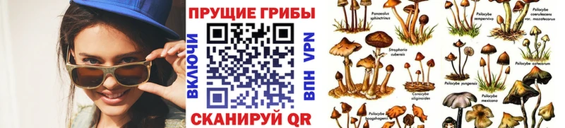 Галлюциногенные грибы MAGIC MUSHROOMS Армянск
